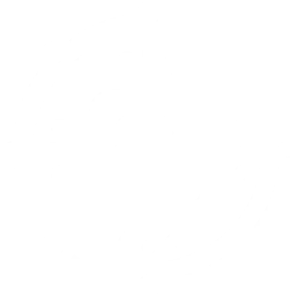 Shift Institution